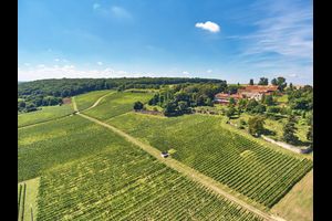 Absage: Fahrende Musiker in Rheinhessen